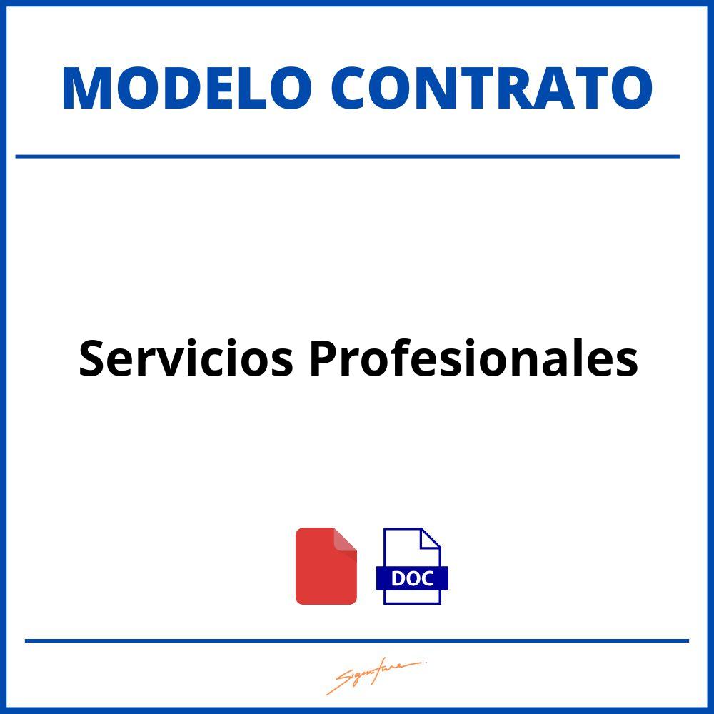 Como Hacer Un Contrato De Servicios Profesionales Modelo 5295