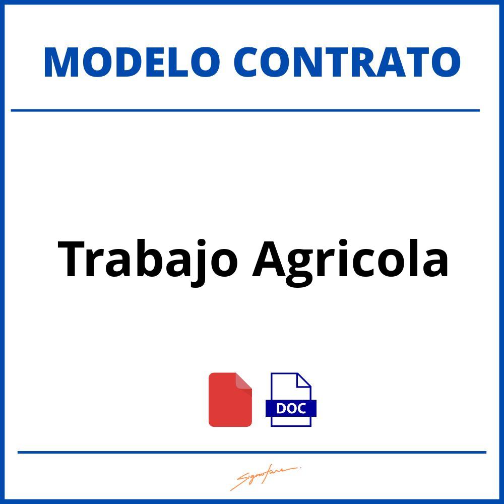 ▷ Como Hacer Un Contrato De Trabajo Agricola - Modelo